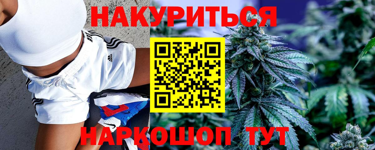 Каннабис ГИДРОПОН Тара